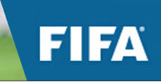 Artificial Turf FIFA member